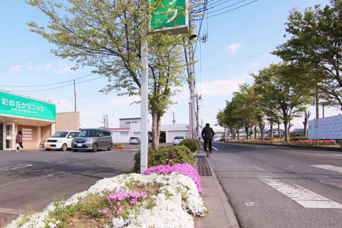 　上里　医療機関　春の芝桜