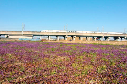 上越新幹線　春の上里町　