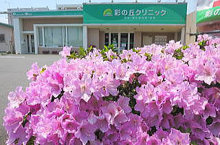 クリニック前のツツジの花が最盛期です クリニック外観 つつじの花 神保原