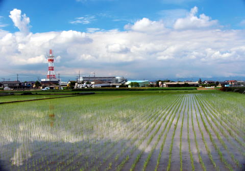 上里町　田園　田植え