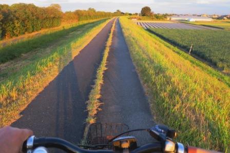 秋の夕日に照らされて 走る自分の影が土手にのびています 上里町 自転車道路 利根川
