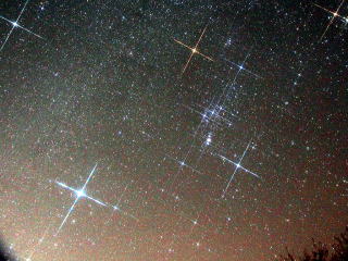 桜山公園　院長撮影　冬の星座