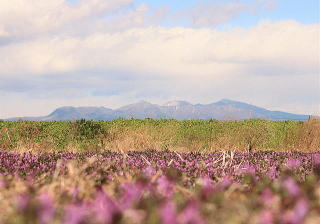 春の野原と赤城山遠景 上里町の風景 春の赤城山 上里町 風景
