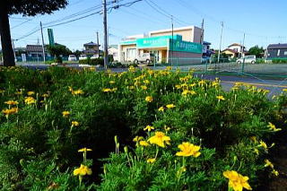 新緑　病院　上里町