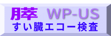 WP-US
