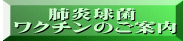　　肺炎球菌  ワクチンのご案内