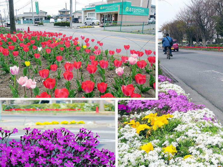 クリニックの花壇　上里町　内科