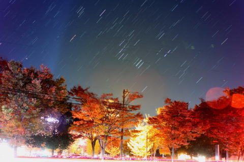 紅葉　夜景　昇るオリオン座　