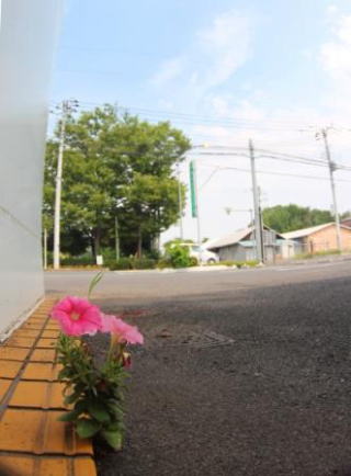 クリニック駐車場　彩の丘クリニック　神保原